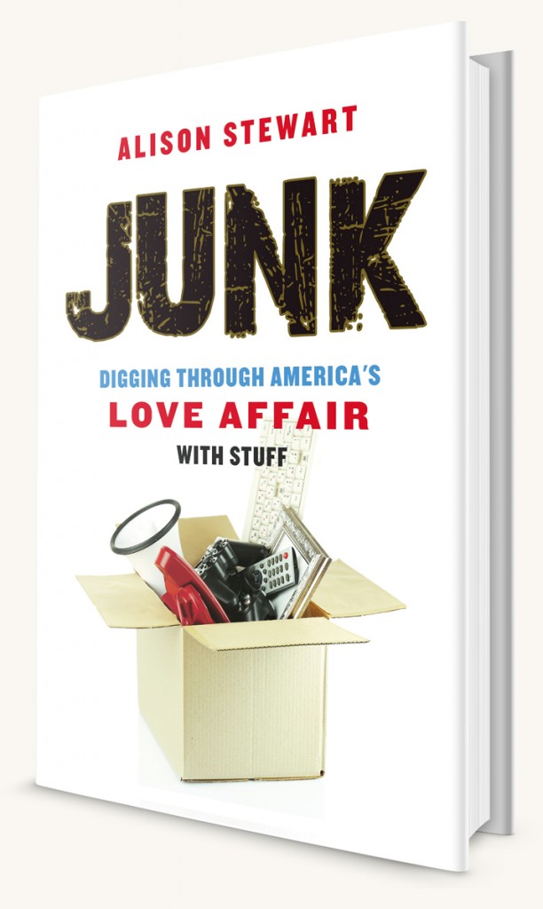 Junk 3d cover