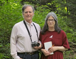 Treecology authors