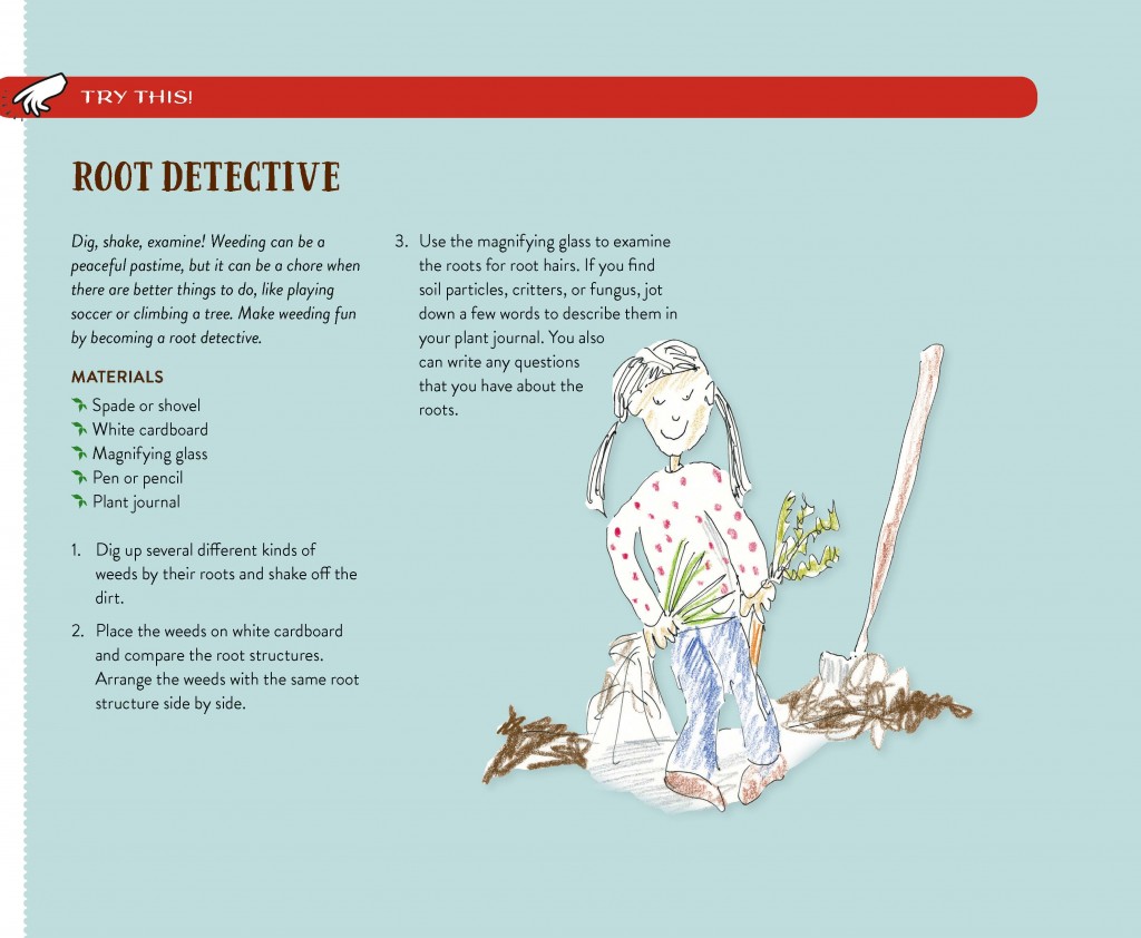 Root Detective